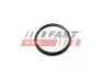 Прокладка вакуумного насоса Fiat Ducato/ Peugeot Boxer/Ford Transit 2.2HDi/TDCi 06- FAST FT49853 (фото 2)