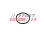 УПЛОТНИТЕЛЬНОЕ КОЛЬЦО FORD TRANSIT 06&gt; НАСОС ОХЛ. ЖИДКОСТИ FAST FT49920 (фото 1)