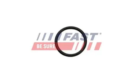 УЩІЛЬНЮЮЧЕ КІЛЬЦЕ FIAT DUCATO 06> ТЕПЛООБМІННИК FAST FT49926