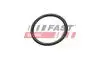 УЩІЛЬНЮЮЧЕ КІЛЬЦЕ FIAT DUCATO 06&gt; КОРПУС ТЕРМОСТАТА 2.2 HDI FAST FT49927 (фото 1)