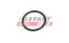 УЩІЛЬНЮЮЧЕ КІЛЬЦЕ FIAT DUCATO 06&gt; КОРПУС ТЕРМОСТАТА 2.2 HDI FAST FT49927 (фото 2)