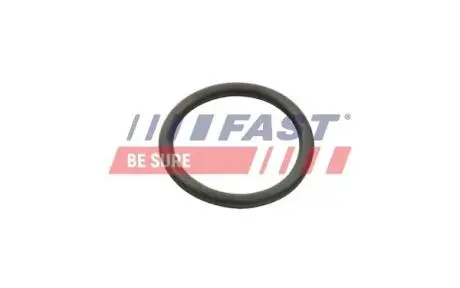 Ущільнювальне кільце CITROEN JUMPER 06> НАСОС ОХЛ. РІДИНИ 2.2 HDI FAST FT49934