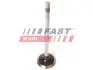 КЛАПАН ДВИГУНА FIAT DUCATO 02&gt; ВИПУСК 2.3 JTD IVECO FAST FT50068 (фото 1)