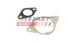 ПРОКЛАДАННЯ КЛАПАНУ EGR FIAT SCUDO 07> КОМПЛЕКТ 2.0 JTD FAST FT50610 (фото 1)