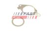 ПРОКЛАДКА КЛАПАНА EGR FIAT DOBLO 09&gt; КОМПЛЕКТ 1.3 JTD 10&gt; FAST FT50614 (фото 2)