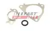 ПРОКЛАДКА КЛАПАНА EGR FIAT DUCATO 06&gt; КОМПЛЕКТ 3.0 JTD 150 10&gt; FAST FT50617 (фото 1)
