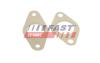 ПРОКЛАДАННЯ КЛАПАНУ EGR FIAT DUCATO 06> КОМПЛЕКТ 2.2 JTD 100 FAST FT50621 (фото 2)