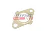 Прокладка радиатора EGR Fiat Ducato 2.3D 06-/Iveco Daily 06- FAST FT50622 (фото 1)