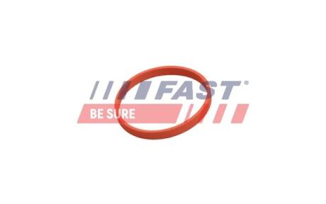 ПРОКЛАДКА КЛАПАНУ EGR RENAULT KANGOO II 08> ПАТРУБОК EGR 1.5 DCI FAST FT50628