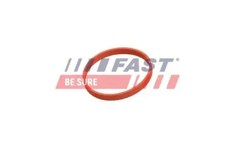 ПРОКЛАДКА КЛАПАНУ EGR RENAULT KANGOO II 08> ПАТРУБОК EGR 1.5 DCI FAST FT50628