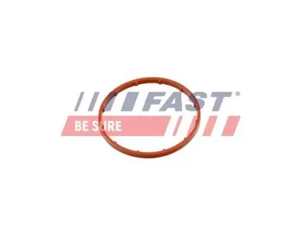 Набор прокладок вакуумного насоса FAST FT50701