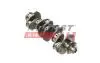 Коленвал Fiat Ducato/Citroen Jumper/Peugeot Boxer (06-)(14-) FAST FT51702 (фото 1)