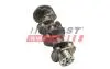 Коленвал Fiat Ducato/Citroen Jumper/Peugeot Boxer (06-)(14-) FAST FT51702 (фото 2)