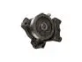 Водяний насос Fiat Ducato/Peugeot Boxer/Citroen Jumper (06-) 3.0 JTD 6PK FAST FT57147 (фото 1)