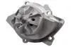 Водяний насос Fiat Scudo/Citroen Jumpy 2.0 Hdi (07-) FAST FT57150 (фото 1)