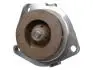 Водяний насос Fiat Bravo II, Doblo, Ducato 1.6D MultiJet, 2.0D MultiJet/Opel Astra H, J, Insignia, Zafira 1.9CDTI/2.0CDTI (04-) FAST FT57153 (фото 1)