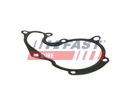 Прокладка помпи охолодження FORD CONNECT 02> 1.8 TDCi FAST FT57401