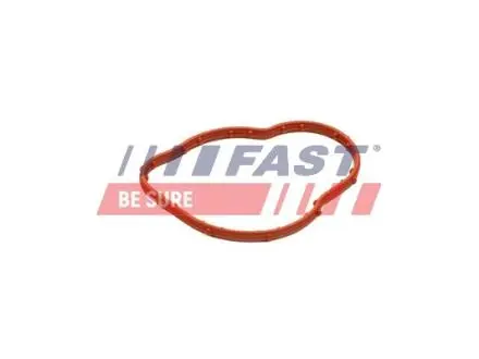 ПРОКЛАДКА ТЕРМОСТАТА RENAULT KANGOO 08> 1.5 DCI FAST FT58305