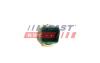 Датчик температуры воды Fiat Doblo 09 1.3 Jtd 2-Pin FAST FT80153 (фото 3)