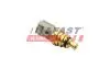 ДАТЧИК ТЕМПЕРАТУРЫ ВОДЫ CITROEN JUMPER 06&gt; 2.2 HDI 110 11&gt; 2-PIN FAST FT80158 (фото 1)