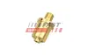КЛАПАН КОНДИЦІОНЕРА CITROEN BERLINGO 08> SANDEN SD7V16 SD7V12 SD6V12 53mm FAST FT83014 (фото 1)
