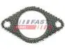 Прокладка вихлопної труби FIAT DOBLO 00-12, FORD CONNECT 02-13 FAST FT84579 (фото 1)