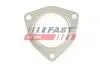 Прокладка глушника IVECO DAILY 00> DPF FAST FT84593 (фото 1)