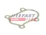 ПРОКЛАДКА ГЛУШИТЕЛЯ FIAT DUCATO 02&gt; 2.8 JTD FAST FT84803 (фото 1)