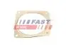 Прокладка глушника FIAT SCUDO 07> 2.0 JTD FAST FT84815 (фото 2)