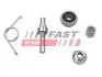 Ролик каретки двері бічний нижній Fiat Ducato (06-)(14-) FAST FT95389 (фото 1)