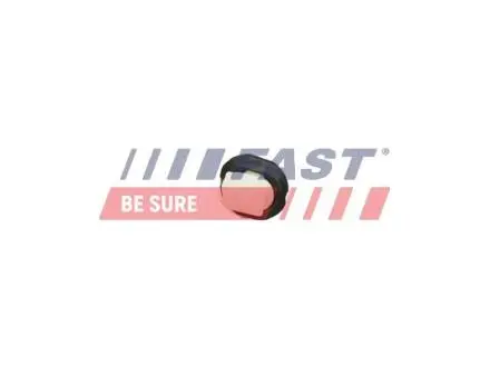 Клипса крепления обшивки Citroen Jumper/Peugeot Boxer/Fiat Ducato (02-)(06-)(14-) FAST FT96300