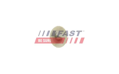 КЛІПСА МОЛДИНГУ IVECO DAILY 06> FAST FT96608