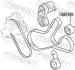 Ролик генератора BMW 1(F20/F21)/2(F22/F87)/3(F30/F80)/4(F33/F83)/5(F10) 3.0 07- (N55 B30 A) FEBEST 1988F80 (фото 2)