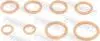 Кольцо уплотнительное патрубка интеркулера Renault Logan/Sandero 05-18 FEBEST 24400-003-KIT (фото 1)