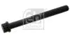 Болт головки цилідра FEBI BILSTEIN 02322 (фото 1)