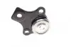 Опора кульова (передня/знизу) VW Caddy 96- (d=19mm) FEBI BILSTEIN 03548 (фото 4)