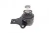Опора кульова (передня/знизу) VW Caddy 96- (d=19mm) FEBI BILSTEIN 03548 (фото 5)