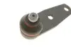Опора кульова (передня/знизу) Renault Kangoo 98- FEBI BILSTEIN 06952 (фото 3)