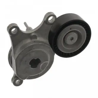 Натяжитель ремня FEBI BILSTEIN 100625