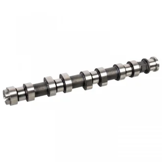 Розподільчий вал (Впускна сторона) OPEL AGILA A, ASTRA G, ASTRA G CLASSIC, ASTRA G/KOMBI, ASTRA H, ASTRA H GTC, COMBO TOUR, COMBO/MINIVAN, CORSA C, CORSA C/HATCHBACK, CORSA D 1.2-1.4LPG 02.98- FEBI BILSTEIN 176837