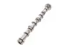 Распределительный вал VW Caddy III/IV/ T5/T6/ Crafter 30-50 2.0 TDI 10- (сторона впуска) FEBI BILSTEIN 176931 (фото 1)