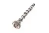 Распределительный вал VW Caddy III/IV/ T5/T6/ Crafter 30-50 2.0 TDI 10- (сторона впуска) FEBI BILSTEIN 176931 (фото 5)