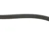 Комплект ремня генератора Fiat Doblo 1.4 05- (5PK1145) FEBI BILSTEIN 177980 (фото 2)