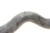 Патрубок системи охолодження (верхній) Peugeot Expert 2.0HDi 07-16 FEBI BILSTEIN 178469 (фото 3)