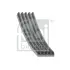 Поліклиновий ремінь (5PK748) FIAT 500, FIORINO, FIORINO/MINIVAN, GRANDE PUNTO, PANDA, PANDA/HATCHBACK, PUNTO, PUNTO EVO, PUNTO/HATCHBACK, QUBO, LANCIA YPSILON 1.2-1.4LPG 02.00- FEBI BILSTEIN 183146 (фото 1)