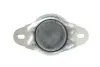 Подушка двигателя (R) Fiat Scudo/Citroen Jumpy 2.0 HDI 96- FEBI BILSTEIN 19019 (фото 3)