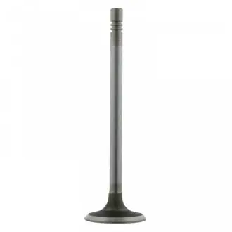 Впускний клапан FEBI BILSTEIN 21805