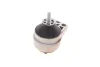 Подушка двигуна (R) Ford Focus/Transit Connect 1.8/1.8D/2.0 98-13 FEBI BILSTEIN 22285 (фото 6)