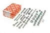Комплект рычажных болтов (переднего) Audi A4 00-08 FEBI BILSTEIN 24804