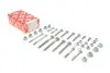 Комплект рычажных болтов (переднего) Audi A4 00-08 FEBI BILSTEIN 24808